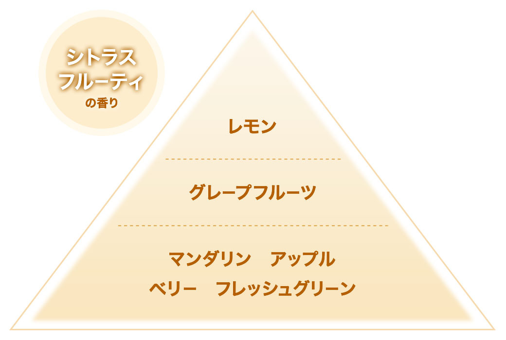 シトラスフルーティの香り